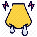 Virus Disease Infection Icon