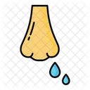 Flu  Icon
