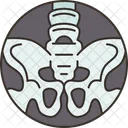 Fluoroscopy Xray Bone Icon