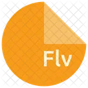 Flv File Format Icon