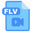 Flv File Document Icon