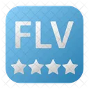 Flv File Type Extension File Icon