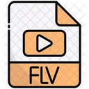 Flv File Extension File Format Icon