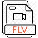 Flv Icon
