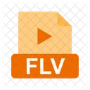 FLV 파일  아이콘