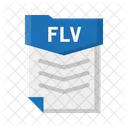 File Flv Document Icon
