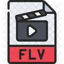 Flv File  Icon