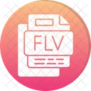 Flv File File Format File Icon