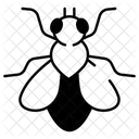 Fly  Icon