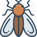 Fly Insects Mosquito Icon