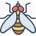 Fly Housefly Drake Icon