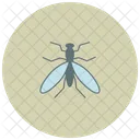 Fly Animal Bee Icon