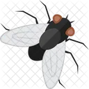 Fly  Icon