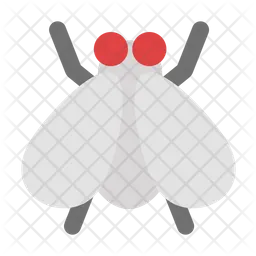 Fly  Icon