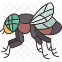 Fly Insect Pest Icon