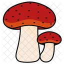 Toxic Mushrooms Fungi Mushroom Flyagaric Poisonous Icon