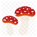 Mushrooms Fungi Mushroom Fly Agaric Poisons Toxic Icon
