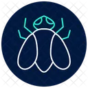 Fly Insect Pest Icon