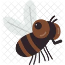 Fly Insect Animal Icon