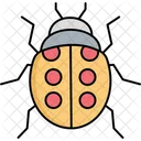 Fly Insect Insect Lady Beetle Icon