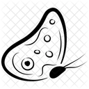 Butterfly Butterfly Symbol Butterfly Design Icon