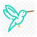 Flying Colibri  Icon