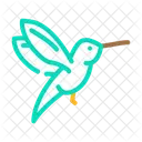 Flying Colibri  Icon