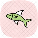 Flying Fish Flying Fish Icon