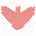 Flying Wings Hasty Icon