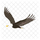 Flying Eagle Bird Icon