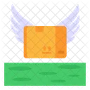 Flying Parcel  Icon