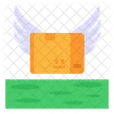 Flying Parcel Icon