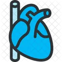 Cuore Polso Cardiologia Icon