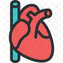 Cuore Polso Cardiologia Icon