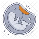 Foetus Icône