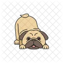 Pug Animal Animal De Estimacao Ícone