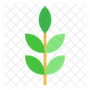 Foglia Pianta Verde Icon