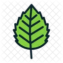 Natura Foglia Caduta Icon