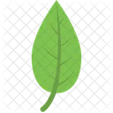 Foglia Pianta Verde Icon