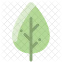 Foglia Verde Ambiente Icon