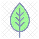 Foglia Primavera Pianta Icon