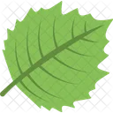 Foglia Verde Albero Icon