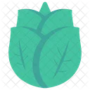 Foglia Foglie Natura Icon