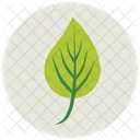 Foglia Pianta Verde Icon