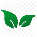 Pianta Verde Te Icon