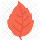 Foglia Albero Cena Icon