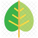 Mping Eco Ecologia Icon