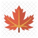 Canada Foglia Acero Icon