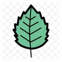 Betulla Natura Foglia Icon