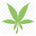 Foglia Di Cannabis Erbe Foglia Icon